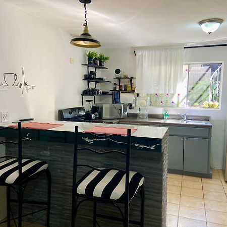 טיחואנה Zebra Studio מראה חיצוני תמונה