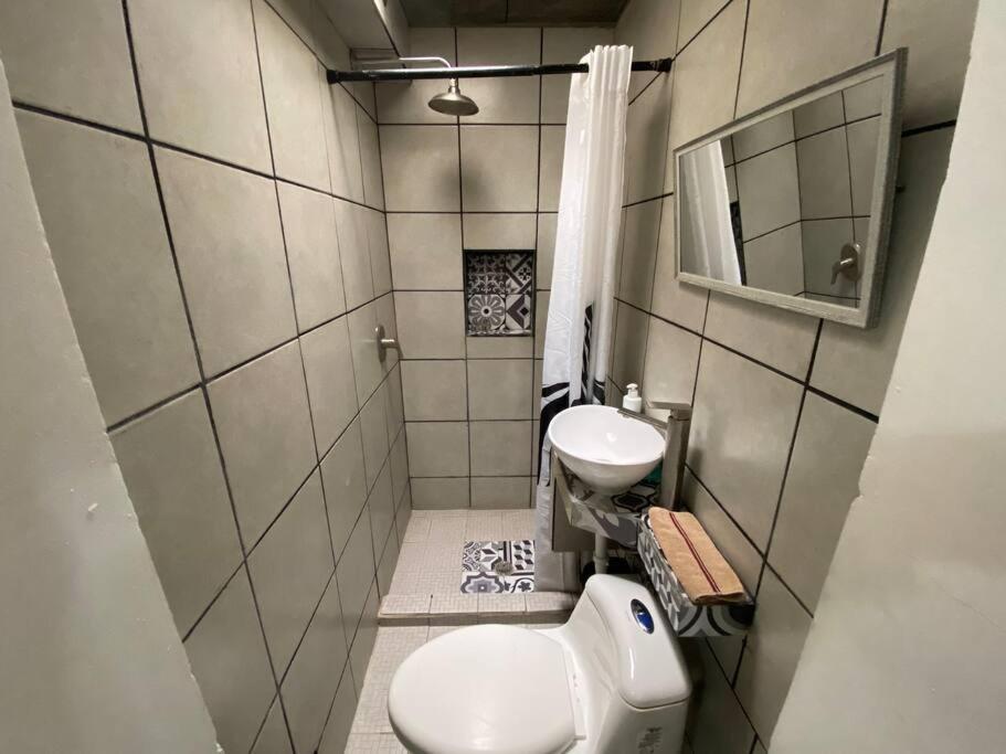 טיחואנה Zebra Studio מראה חיצוני תמונה